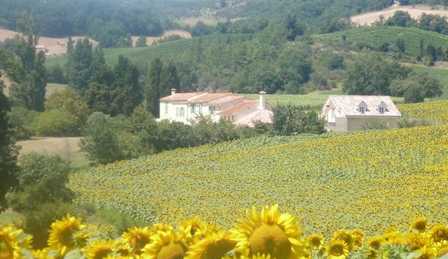 Domaine de La Barre - peace and tranquility near to Carcassonne and Mirepoix