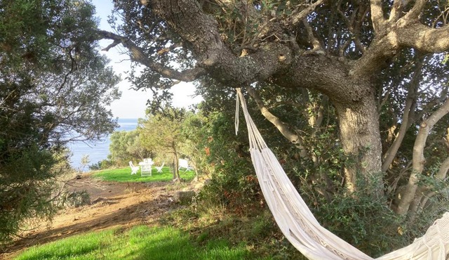 Domaine de la Coletta Maison traditionnelle