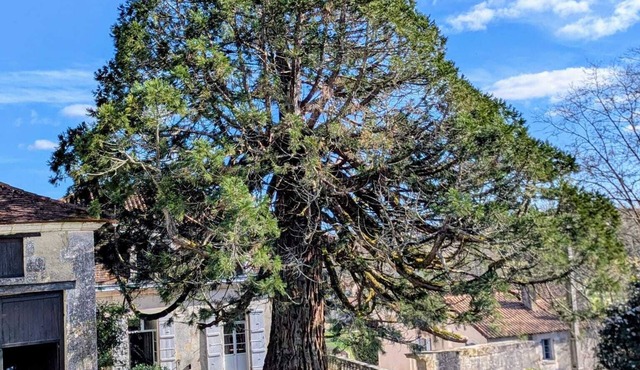 Domaine de la Dordrona