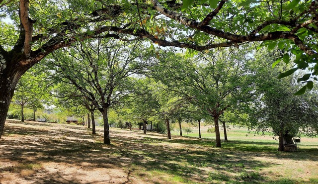 DOMAINE DE LA BORIA gîte in the heart of 13ha of nature facing the hill of Lascaux
