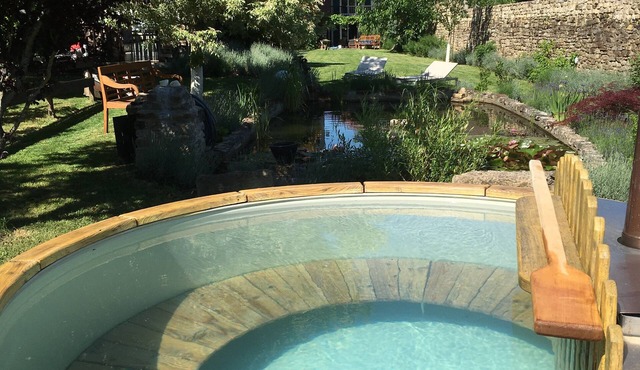 Domaine de la Mance - Cottage with fireplace and spa