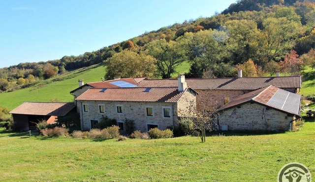 Domaine de la Glande -Amonites