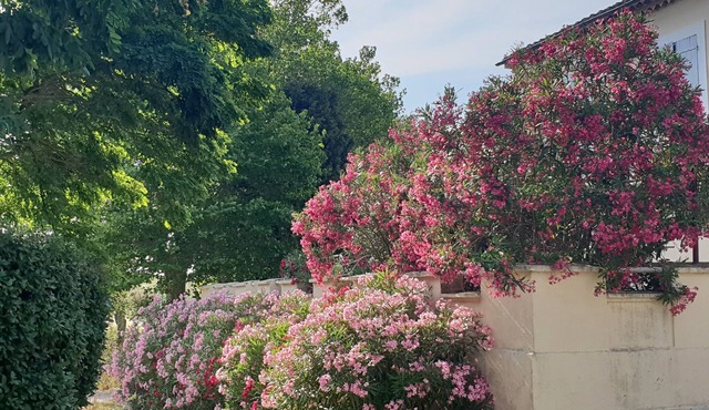 Domaine de la Petite Tour