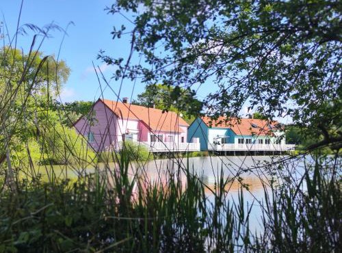 Domaine de la roselière Nature Brenne