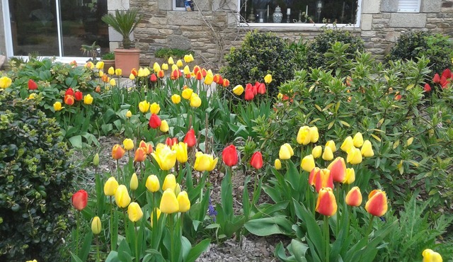 Domaine de Lestivoan gîte 611