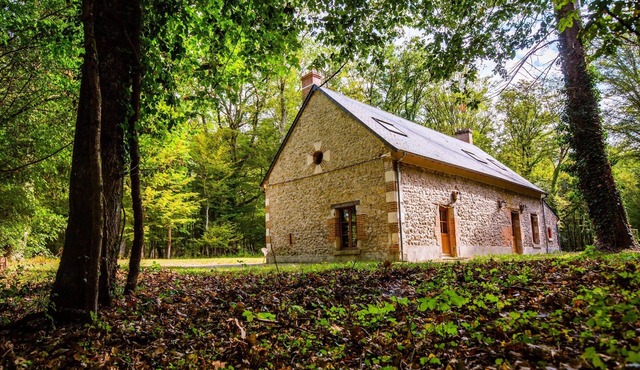 Domaine de Sérigny, 19th century, 60 hectares, three gites. Ideal for families and friends.