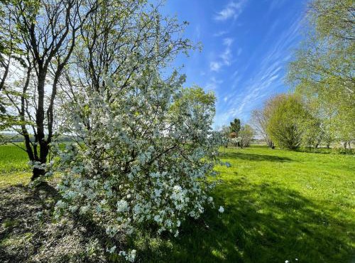 Domaine des Anes - Gîtes et Roulotte