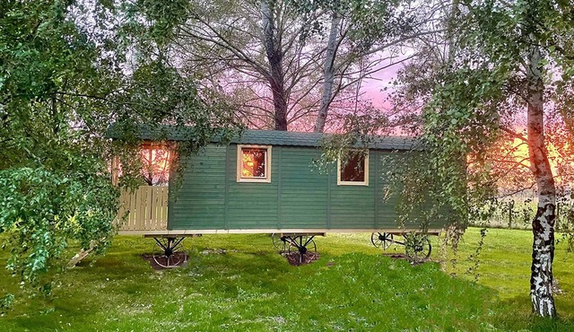 Domaine des Anes - Roulotte de la Clairière