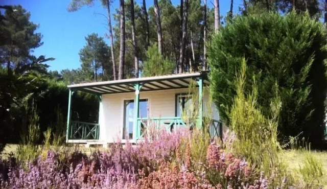 Domaine des Grands Pins * - Chalet Epicea 4 people