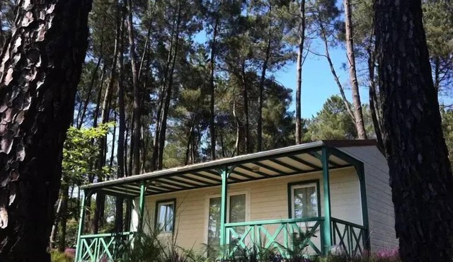 Domaine des Grands Pins * - Chalet Chataignier 6 people