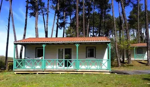 Domaine des Grands Pins * - Chalet for disabled people 4 people