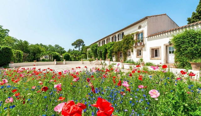 Domaine Des Pavots Estate