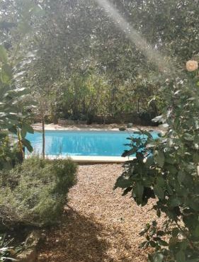 Domaine des Pins Apartment with Kitchenette