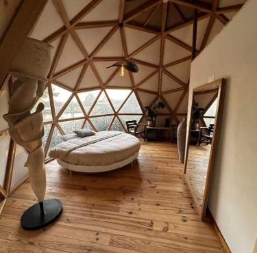 Domaine des Pins L'île au Dôme