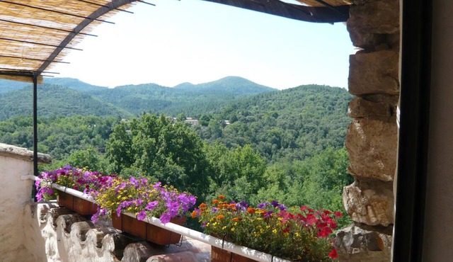 Domaine du Figuier in a former winery, nature park, family-friendly - Apartment 1