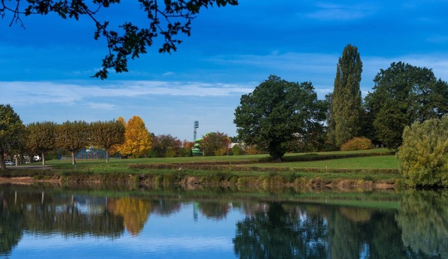Domaine du Moulin - Le Patio