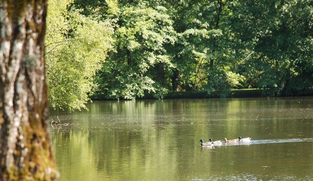 Domaine du Grand Chêne