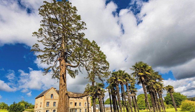 Domaine du Plessis Kaër.