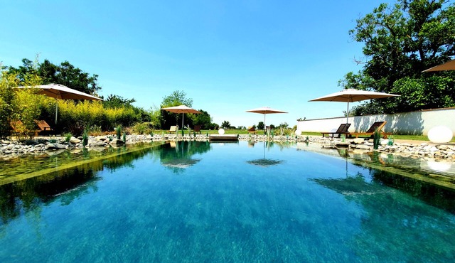Domaine for 20 people, near Toulouse