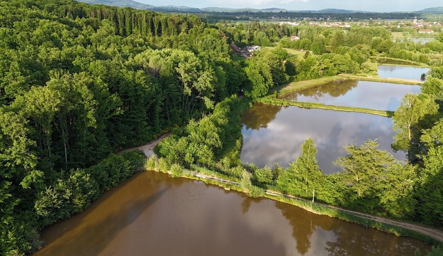 Domaine du morbues cabin