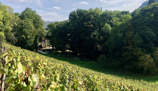 Domaine Guiet - Gîtes Chez Morgane & Thomas