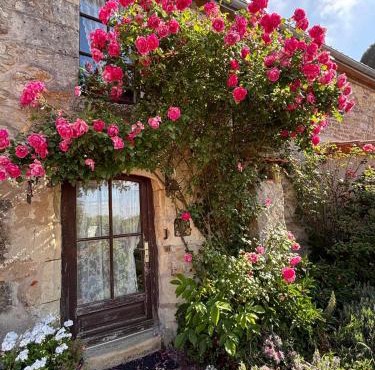 Domaine les roses du vieux chai