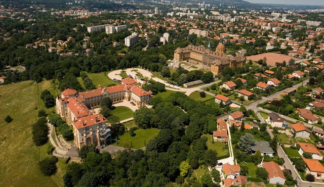 Domaine Lyon Saint Joseph