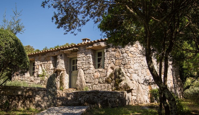 Domaine Pardini - Casetta Murta