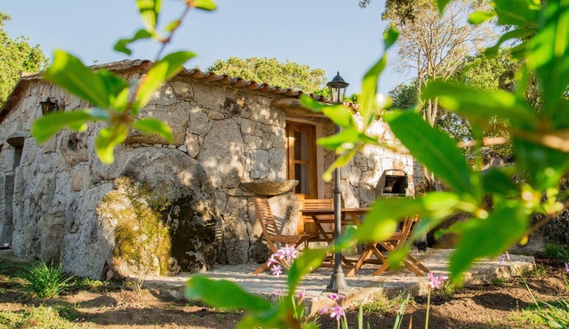 Domaine Pardini - Casetta Listincu