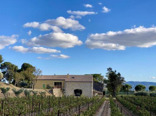 Domaine Saint Antoine