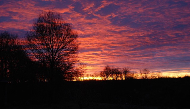 Domaine Sainte Barthe - Poet's Room