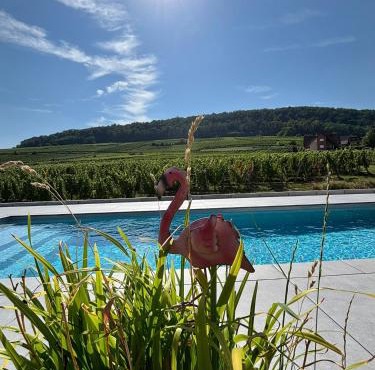 Domaine Wagenbourg Bickel proche de Colmar