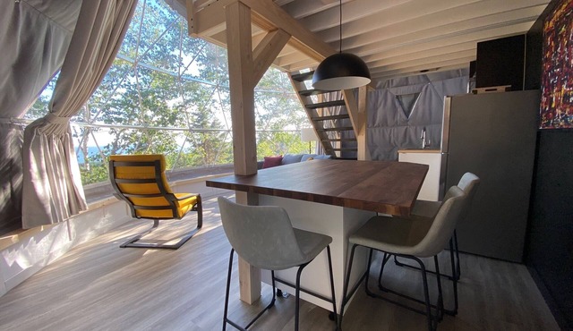 Dome #1 forested at Domaine Renard