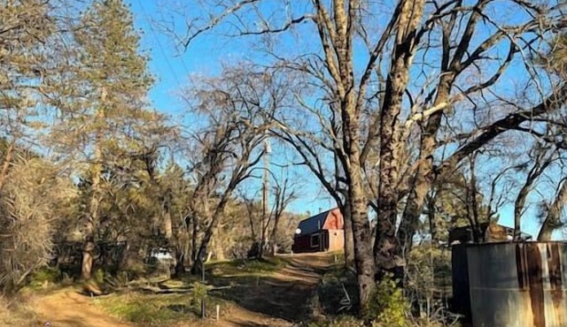Dome 1- Mountain Views