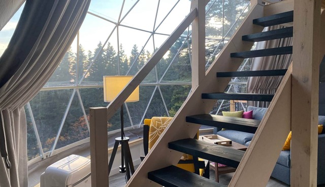 Dome #2 forested at Domaine Renard