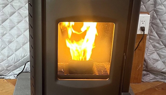 Dome 3 - Enchanted Forest