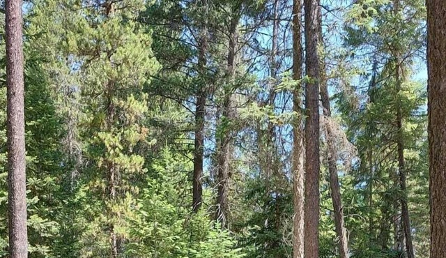 Dome Tent 1/Unfurnished