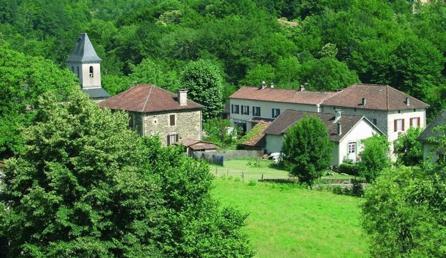 Domisiladore