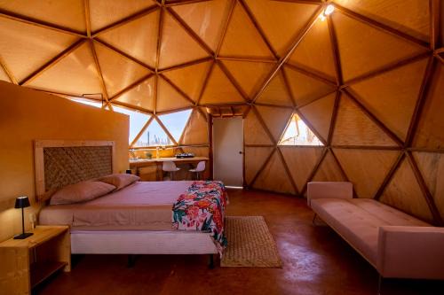 Domo - Cactus Lodge Baja