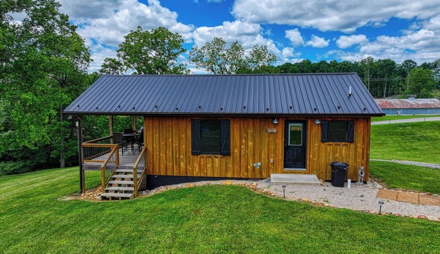 Don's Den Riverfront cabin on the South Holston River