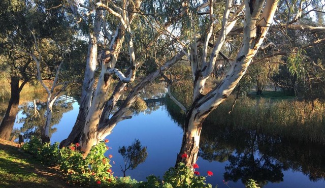 Donald Riverside Motel