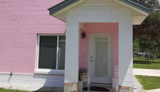 Donna's Pink Flamingo - near The Villages.