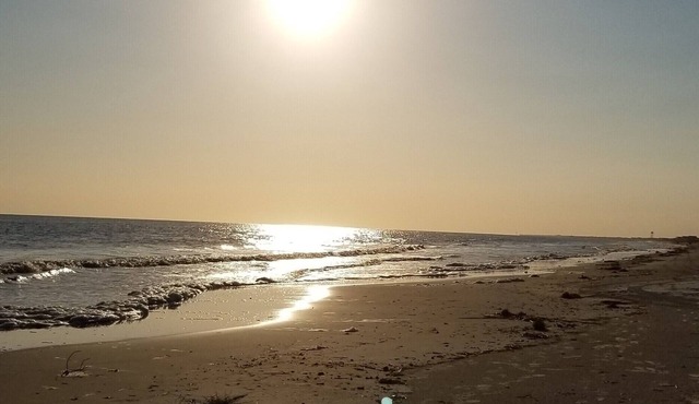 Donovan's Blue Crab Cove