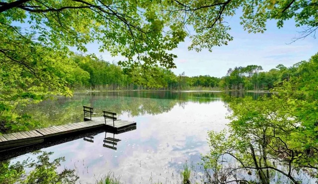 Doodle Acres Cottage: Where Trails, Tails & Good Times Take Off!