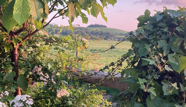 Dorchester on Thames private mini suite in a peaceful location.