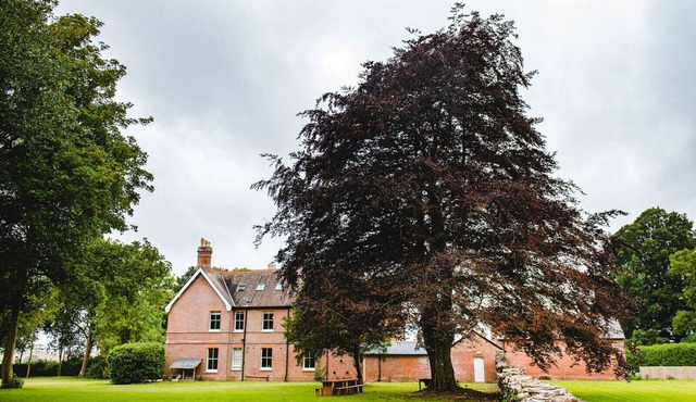 Dorset Rural Country Retreat, 6 Acres, Hot Tub, Sleeps 20, near Jurassic Coast