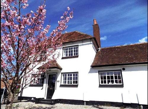 Double Award Winning 1700's Grd 2 listed cottage near Stonehenge