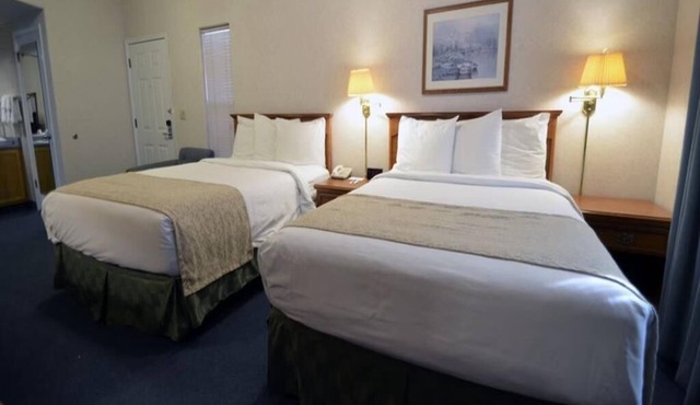 Double Room, 2 Queen Beds