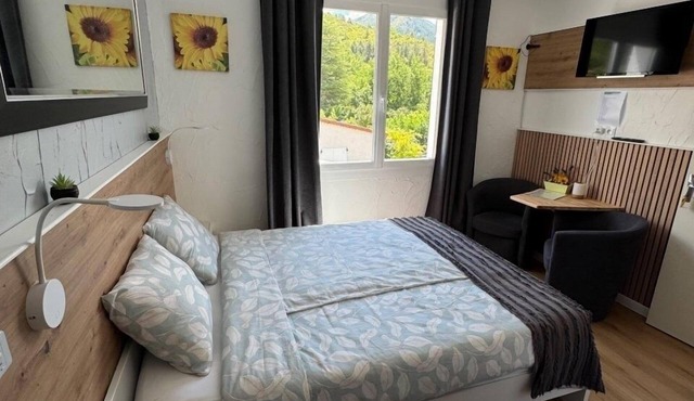 Double room for 2 guests with 12m² in Castellane (264546)