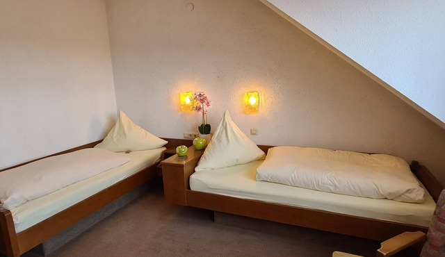 Double room mountain view with 2 single beds - Pension Hauber